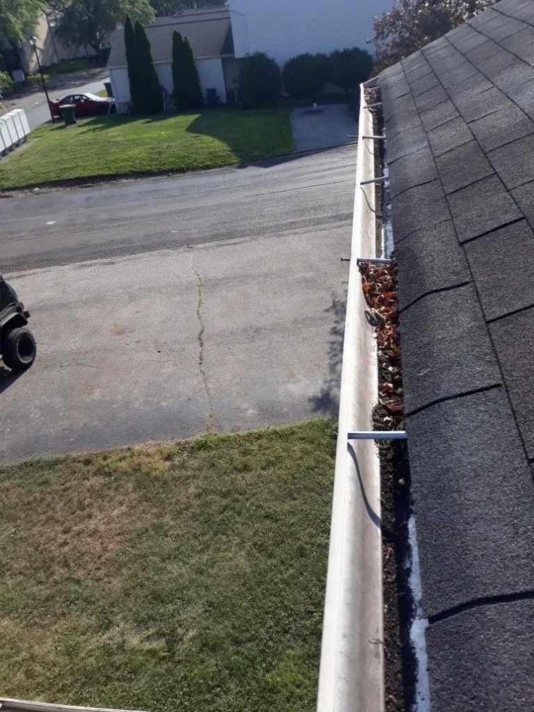 Gutter Cleaning