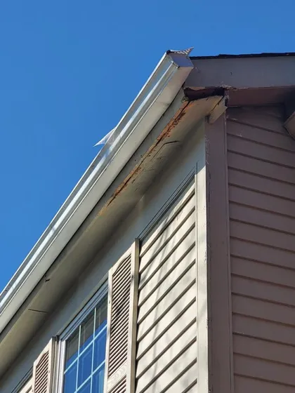 Fascia Damage